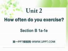 How often do you exercise?PPTn24