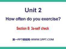 How often do you exercise?PPTμ26