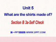 What are the shirts made of?PPTμ25
