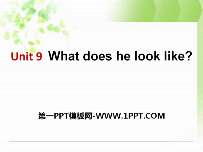 《What does he look like?》PPT课件9-预览图01