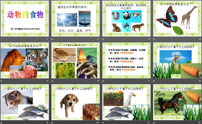 《动物的食物》动物的生活PPT课件2-预览图02
