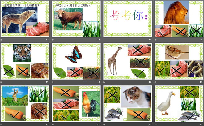 《动物的食物》动物的生活PPT课件2-预览图03