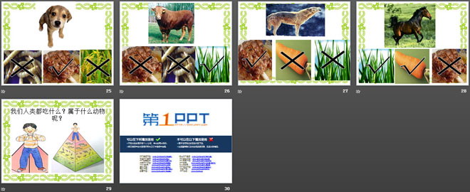 《动物的食物》动物的生活PPT课件2-预览图04
