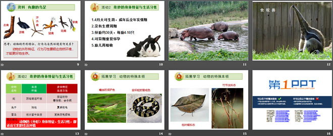 《动物与环境》生物与环境PPT课件-预览图03