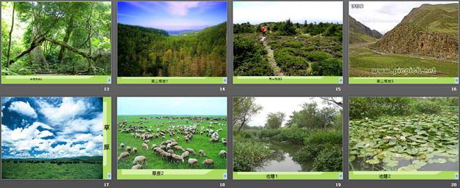 《植物与环境》生物与环境PPT课件-预览图03