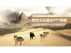 沙漠狼群背景的狼性公司团队文化PPT模板