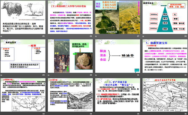 《青藏高原地区》PPT课件-预览图04
