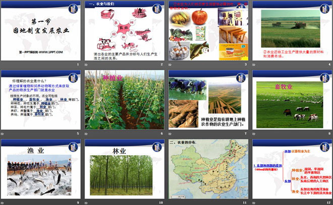 《因地制宜发展农业》PPT课件下载-预览图02