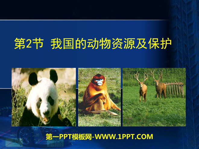 《我国的动物资源及保护》PPT课件-预览图01