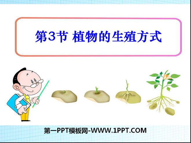 《植物的生殖方式》PPT-预览图01
