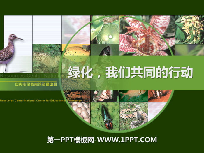 《绿化，我们共同的行动》PPT课件-预览图01