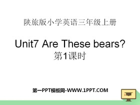 Are These Bears?PPT
