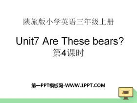 Are These Bears?PPTnd
