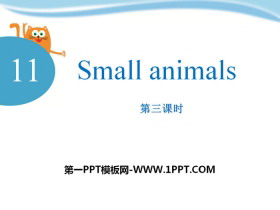 Small animalsPPT
