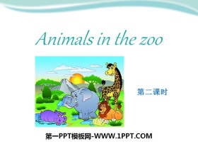 Animals in the zooPPTn