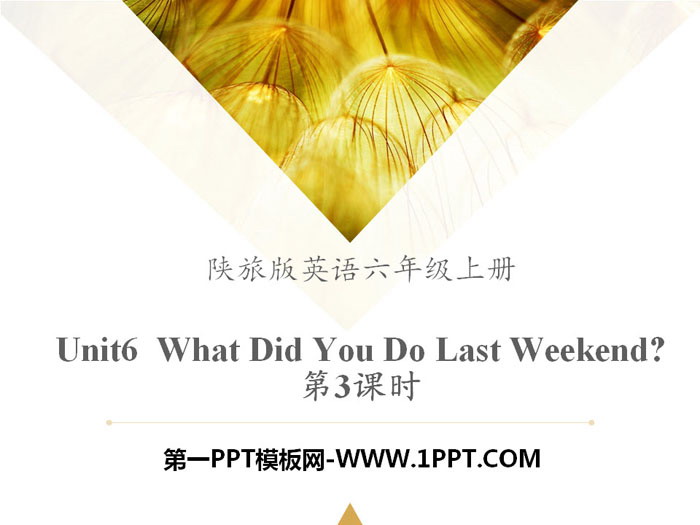《What Did You Do Last Weekend?》PPT课件下载-预览图01