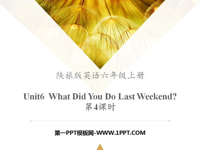 《What Did You Do Last Weekend?》PPT教学课件-预览图01