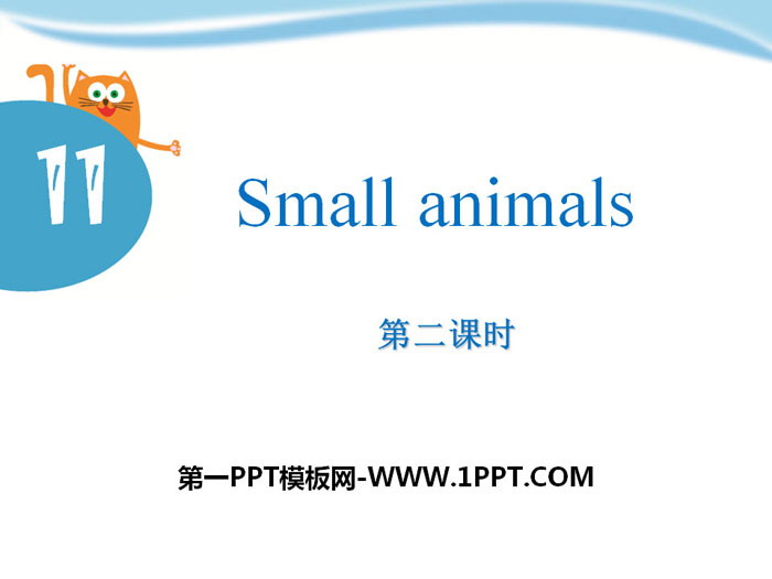 Small animalsPPTμ