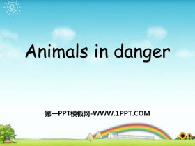 Animals in dangerPPT