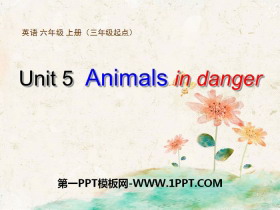 Animals in dangerPPTμ