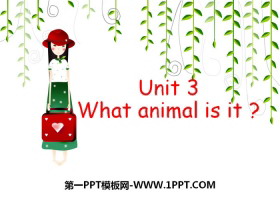 What animal is it?PPT