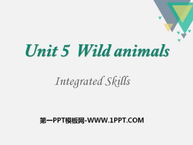 Wild animalsintegrated SkillsPPT