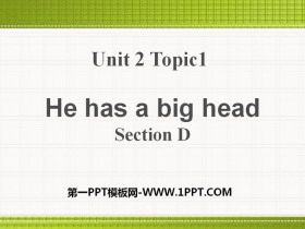 He has a big headSectionD PPT