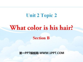 What color is his hair?SectionB PPT