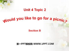 Would you like to go for a picnic?SectionB PPT