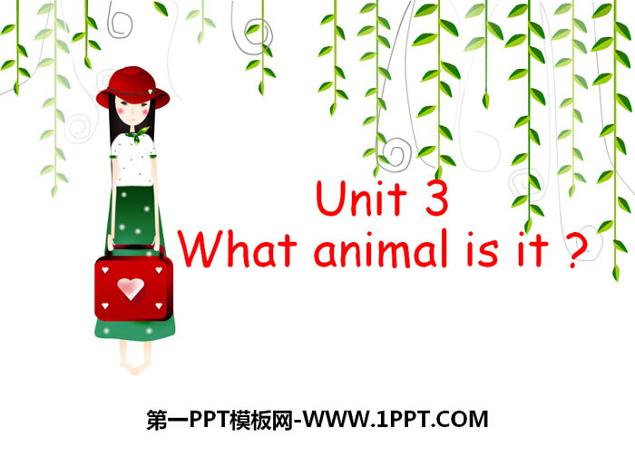 What animal is itPPT
