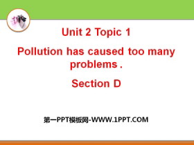  Pollution has caused too many problemsSectionD PPT