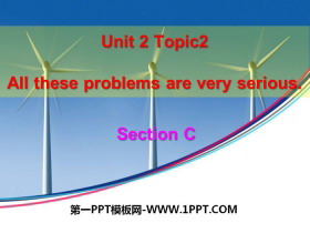 All these problems are very seriousSectionC PPT