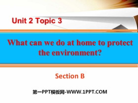 What can we do at home to protect the environment?SectionB PPT