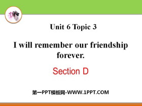 I will remember our friendship foreverSectionD PPT