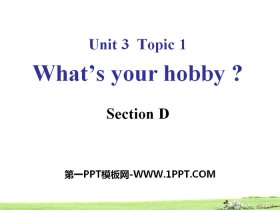 What's your hobby?SectionD PPT