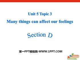 Many things can affect our feelingsSectionD PPT