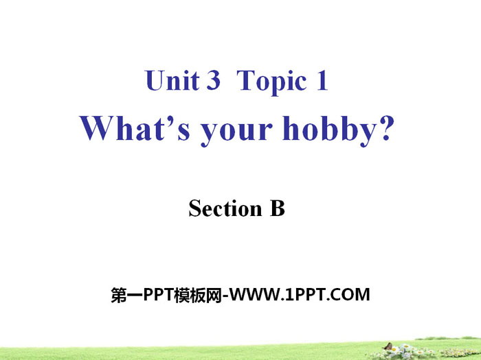 《What's your hobby?》SectionB PPT-预览图01
