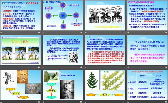 《生物的进化》PPT免费教学课件-预览图03