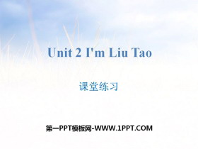I'm Liu TaoϰPPT