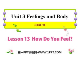 How Do You Feel?Feelings and Body PPTμ