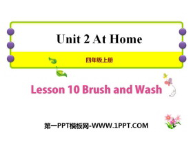 Brush and WashAt Home PPŤWn