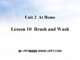 Brush and WashAt Home PPTμ