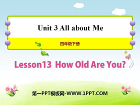 How Old Are You?All about Me PPTμ