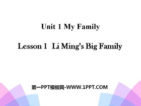 Li Ming's Big FamilyMy Family PPT