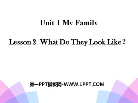 What Do They Look Like?My Family PPT