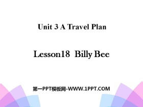 Billy BeeA Travel Plan PPT