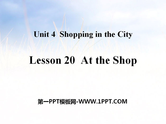 《At the Shop》Shopping in the City PPT教学课件-预览图01
