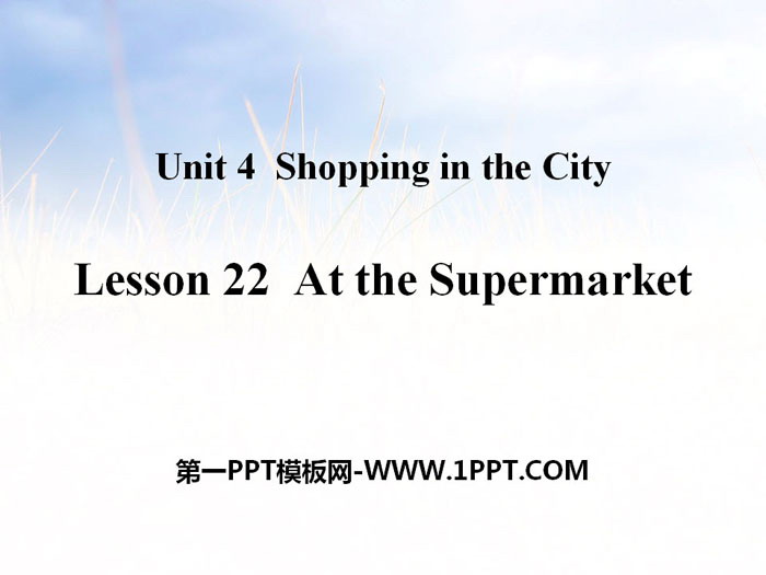 《At the Supermarket》Shopping in the City PPT教学课件-预览图01