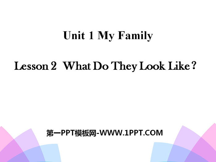 《What Do They Look Like?》My Family PPT-预览图01
