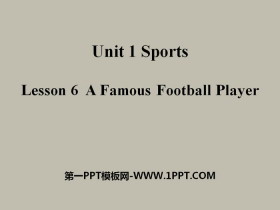 A Famous Football PlayerSports PPT